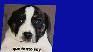 แม่ฉันเป็นซัคคิวบัส ฉันสาบาน ไม่คิดเลยว่าจะเป็นเรื่องยุ่งแบบนี้!