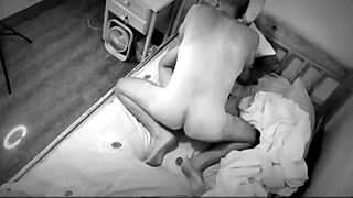 परेशान सिक्योरिटी कैमरा वाइल्ड नाइट ऑफ मफ डाइविंग कैप्चर करता है