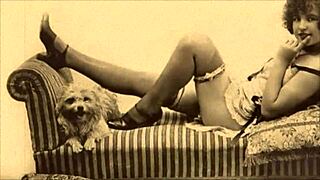 vintage erotične ilustracije šok