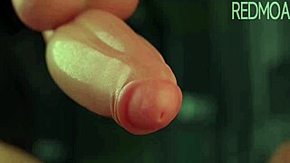 ולמה מסקובי דו בהרפתקה קרטון 3D פראית על ידי רדמוא