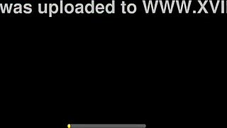 アニメ娘たちがワイルドなクリスマスパーティーを開催、ホリデー楽しむ