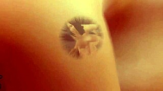 Pasangan BBW Panas Mentah Kongkek Di Kolam Dalam Kartun 3D