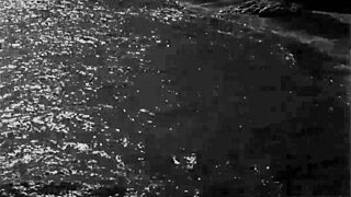 رسوم إيروتيكية قديمة تشعل رغبات جامدة!