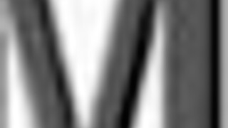 塔尔斯 x 克里姆 x 瓦尼拉 性感动画 索尼克风格 by zavie