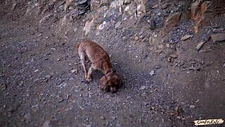 Real forest sex vlog where she jokes a lot and swallows cum