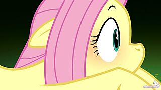 Pony and human coexistence treaty