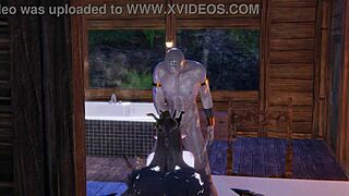 Verification Video For 3D Game Animations