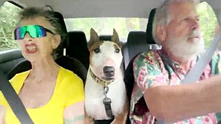 We Love Road Trips on Oahu Despite the Small Circumference Driving from the Windward Side