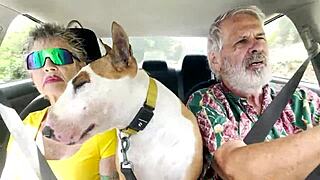 We Love Road Trips on Oahu Despite the Small Circumference Driving from the Windward Side