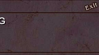 Lightning Warrior Raidy 2 Jami Game