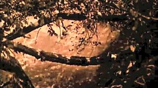 Vintage erotic art collection