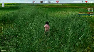 משחקי יוניטי הרפתקאות דרגון בול 3D אנימה