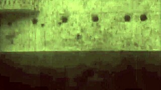 Explore vintage erotic art animations