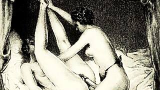 vintage erotic drawings showcase hairy retro beauties