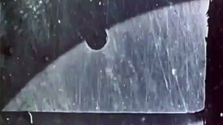 i hide my wild side full of retro vintage animations nobody knows about yet