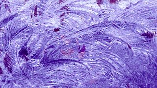 Naruto hentai girls crave cock in steamy scenes