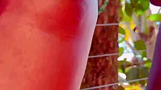 bbc bull drills asian wife's tight ass in front of cuck hubby