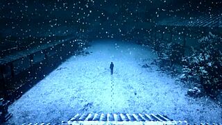 体验命运之夜天堂之感预言之花的情感深度